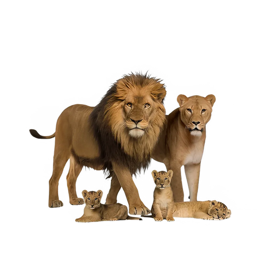 c78ee005-6730-4544-a21d-4aa6703e944b